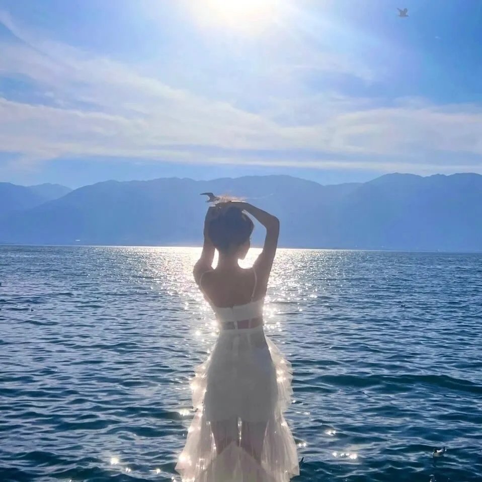 致亲爱的提奥 海报